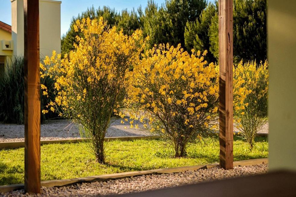 Cabanas De Las Pinturas Villa Sierra de la Ventana Kültér fotó